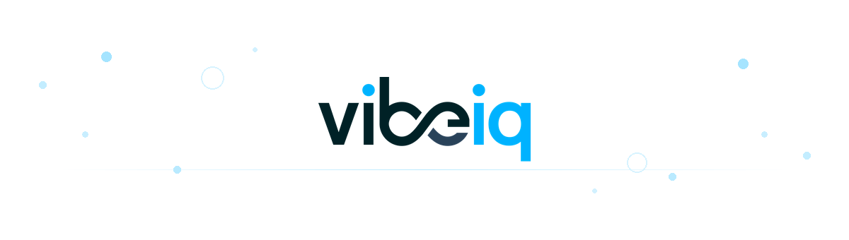 alt="VibeIQ"